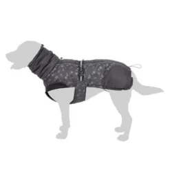 Reflecting Stars Dog Coat