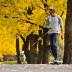 RUFFWEAR Hi & Light Leash -Happy Pet Shop 262501 accapi ruffwear hi light leash lichengreen hs 13 5