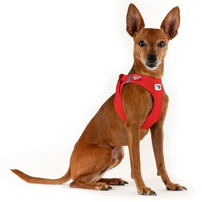 Curli Vest Harness Clasp Air-Mesh, Red - Image 3