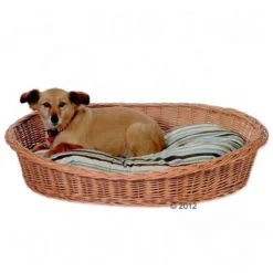 Aumüller Wicker Dog Basket -Happy Pet Shop 2834 hundekorb1 02 2012 6