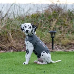 ThunderShirt® Calming Vest, Grey -Happy Pet Shop 302696 302697 302796 302797 302896 cevadeutschland thundershirt beruhigungsweste grau hs 08 9