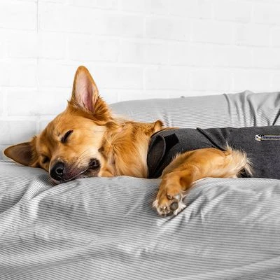 ThunderShirt® Calming Vest, Grey - Image 2