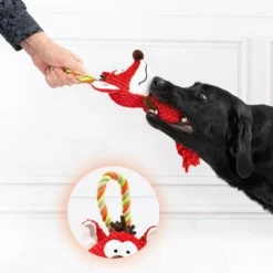 Doglove Dog Toy Fox -Happy Pet Shop 303196 edupet doglove hundespielzeug fuchs hs 04 2