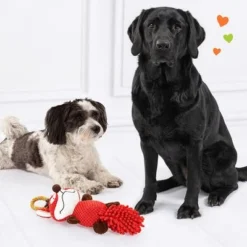 Doglove Dog Toy Fox -Happy Pet Shop 303196 edupet doglove hundespielzeug fuchs hs 05 9