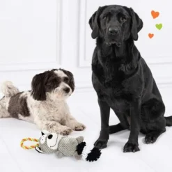 Doglove Dog Toy Raccoon -Happy Pet Shop 303396 edupet doglove hundespielzeug waschbar hs 05 0