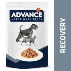 Advance Veterinary Diets Recovery