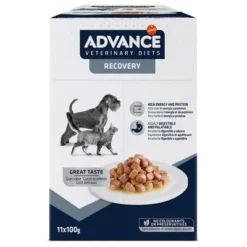 Advance Veterinary Diets Recovery -Happy Pet Shop 309899 pla affinityspain advance veterinarydiets dogrecovery hs 01 5