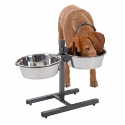 Dog Bowl Stand With 2 Stainless Steel Bowls -Happy Pet Shop 313523 kumar hundebar inklusive 2 edelstahln pfe 03 dsc5878 8