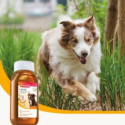 Beaphar Linseed Oil 2 Beaphar Linseed Oil - Image 2