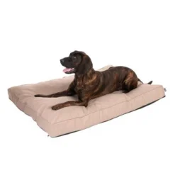 TIAKI Dog Mattress Memory Foam, Beige -Happy Pet Shop 318699 mit hund fg 5104 1