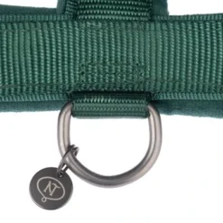 Nomad Tales Blush Harness, Emerald -Happy Pet Shop 323020 nomad tales blush geschirr emerald fg 1286 6