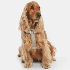 Nomad Tales Blush Harness - Taupe -Happy Pet Shop 323028 nomad tales blush geschirr taupe 17 6