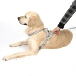 TIAKI Harness Neoprene, Grey -Happy Pet Shop 323033 neoprene geschirr l fg 1703 5