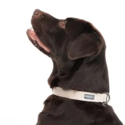 Nomad Tales Blush Necklace, Taupe -Happy Pet Shop 324701 blush l fg 7179 6