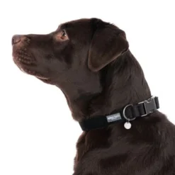 Nomad Tales Blush Collar, Ebony 11 Nomad Tales Blush Collar, Ebony -Happy Pet Shop 324704 blush l fg 7230 5