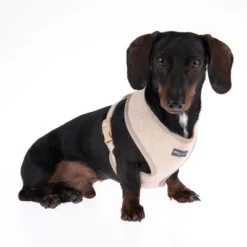 Nomad Tales Calma Harness - Sand -Happy Pet Shop 324711 calma m fg 7280 2
