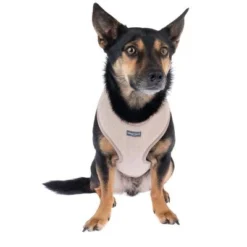 Nomad Tales Calma Harness - Sand -Happy Pet Shop 324713 calma fg 7794 7