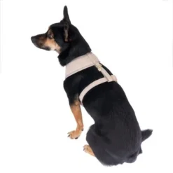 Nomad Tales Calma Harness - Sand -Happy Pet Shop 324713 calma fg 7799 3
