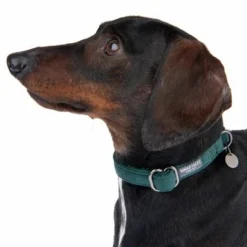 Nomad Tales Blush Necklace, Emerald -Happy Pet Shop 324796 blush s fg 6972 5