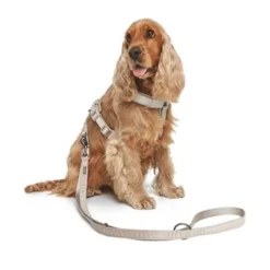 Nomad Tales Blush Dog Leash, Taupe -Happy Pet Shop 325296 325297 nomad tales blush hundeleine taupe hs 04 1