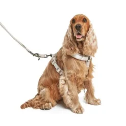 Nomad Tales Blush Dog Leash, Taupe -Happy Pet Shop 325296 325297 nomad tales blush hundeleine taupe hs 05 6