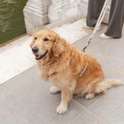 Nomad Tales Blush Dog Leash, Taupe -Happy Pet Shop 325296 325297 nomad tales blush hundeleine taupe hs 07 1