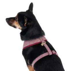 Nomad Tales Calma Harness - Burgundy -Happy Pet Shop 325599 calma fg 7765 4