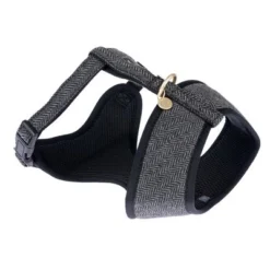 Nomad Tales Calma Harness - Ebony