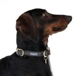 Nomad Tales Calma Collar, Ebony 11 Nomad Tales Calma Collar, Ebony -Happy Pet Shop 326802 calma m fg 7363 0