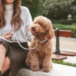 Nomad Tales Calma Dog Leash, Stone -Happy Pet Shop 326806 326197 nomad tales calma halsband stone 03 5 1