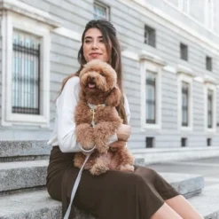 Nomad Tales Calma Dog Leash, Stone -Happy Pet Shop 326806 326197 nomad tales calma halsband stone 05 0