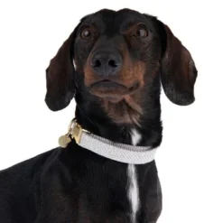 Nomad Tales Calma Collar, Stone -Happy Pet Shop 326807 calma m fg 7321 6