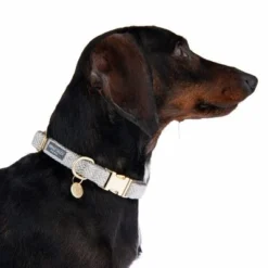 Nomad Tales Calma Collar, Stone -Happy Pet Shop 326807 calma m fg 7324 6