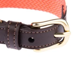 Nomad Tales Bloom Collar, Coral -Happy Pet Shop 328396 328496 328497 328596 328696 nomad tales bloom halsbaender fg 1480 2