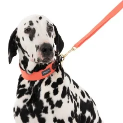 Nomad Tales Bloom Leash, Coral -Happy Pet Shop 328596 328201 bloom l fg 7532 1