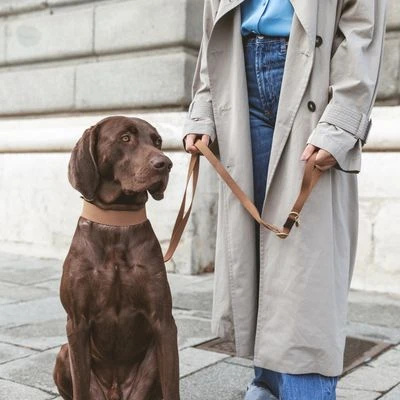 Nomad Tales Bloom Leash, Caramel - Image 5