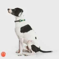 Nomad Tales Spirit Collar, Pine -Happy Pet Shop 329007 nomad tales spirit leinen halsbaender 02 9