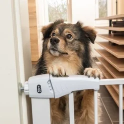 TIAKI White Dog Gate With 7 Cm Extension -Happy Pet Shop 334597 tiaki dog gate white fg 8198 1