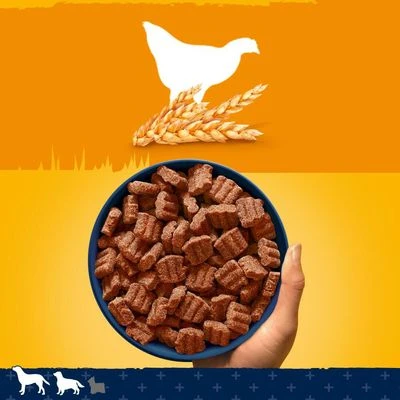 Pedigree Tender Goodness With Poultry 3 Pedigree Tender Goodness With Poultry - Image 3