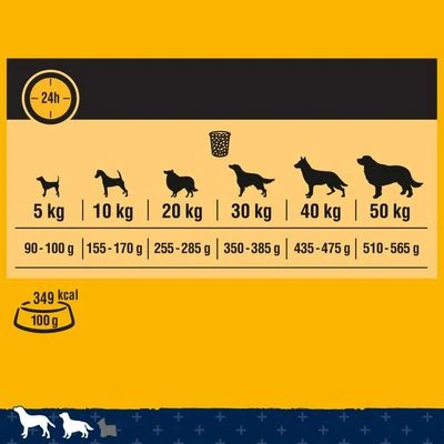 Pedigree Tender Goodness With Poultry 4 Pedigree Tender Goodness With Poultry - Image 4
