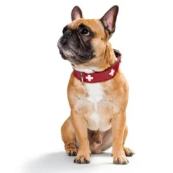 HUNTER Swiss Dog Collar -Happy Pet Shop 36707 hunter swiss3 3