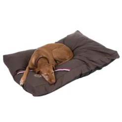 Champion Dog Cushion