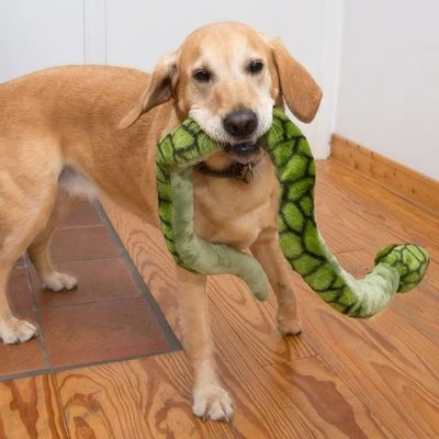 Giant Snake Dog Toy 5 Giant Snake Dog Toy - Image 5