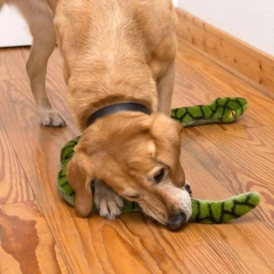 Giant Snake Dog Toy 6 Giant Snake Dog Toy - Image 6