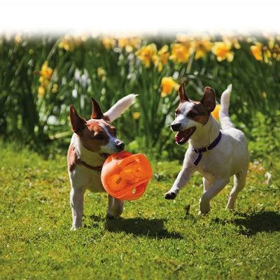 KONG Jumbler Ball 2 KONG Jumbler Ball - Image 2