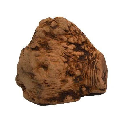 Chewies Root Chews 2 Chewies Root Chews - Image 2