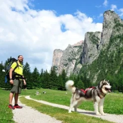 NEEWA Bungee Line Lead -Happy Pet Shop 505646 hp neewa bungee leine im einsatz 9