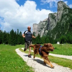 NEEWA Canicross Jogging Belt -Happy Pet Shop 505647 hp neewa canicross jogging gurt im einsatz 3