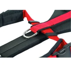 NEEWA Running Harness - Red -Happy Pet Shop 505648 hs neewa running harness rot ring 0