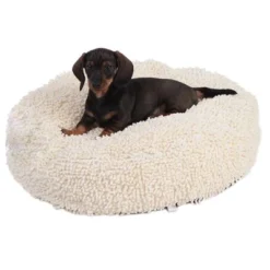 Dog Cushion - Cream 11 Dog Cushion - Cream -Happy Pet Shop 51120 dog o dsc1461 5